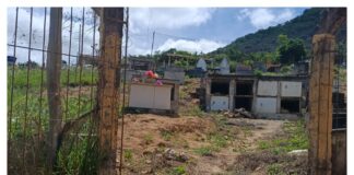 Cemitério da Vermelha: o Retrato do Abandono no Dia de Finados